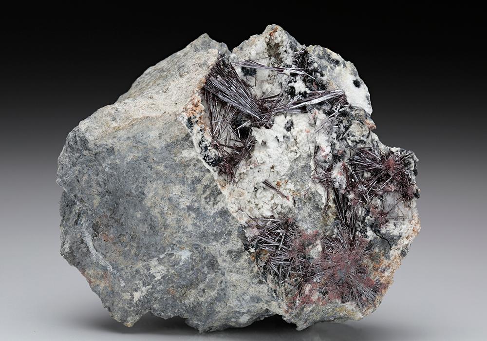 CC7614 specimen image