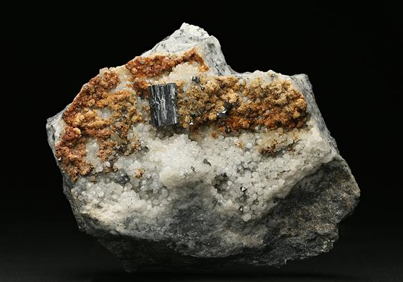 CC7617 specimen image