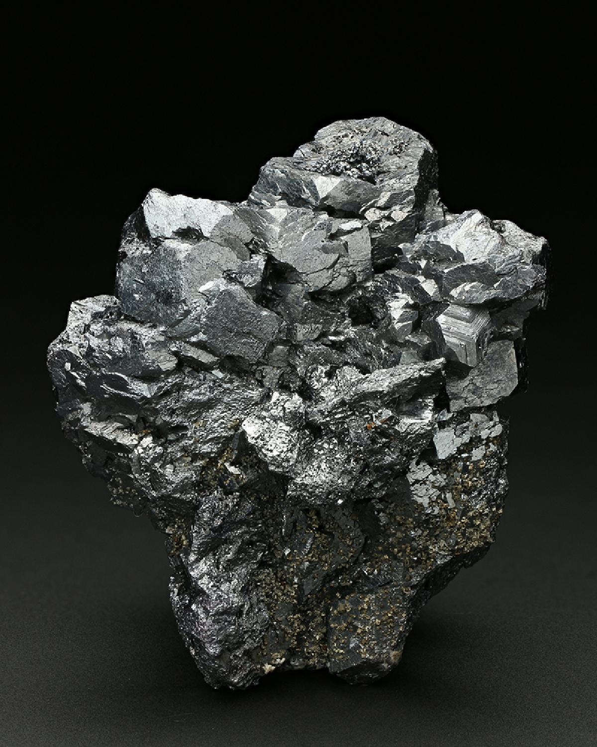 CC7618 specimen image