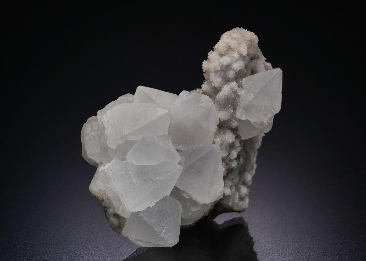 CC7621 specimen image