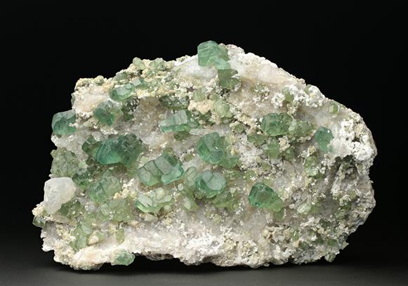 CC7622 specimen image