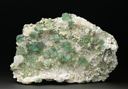 CC7622 specimen image