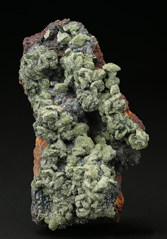 CC7632 specimen image