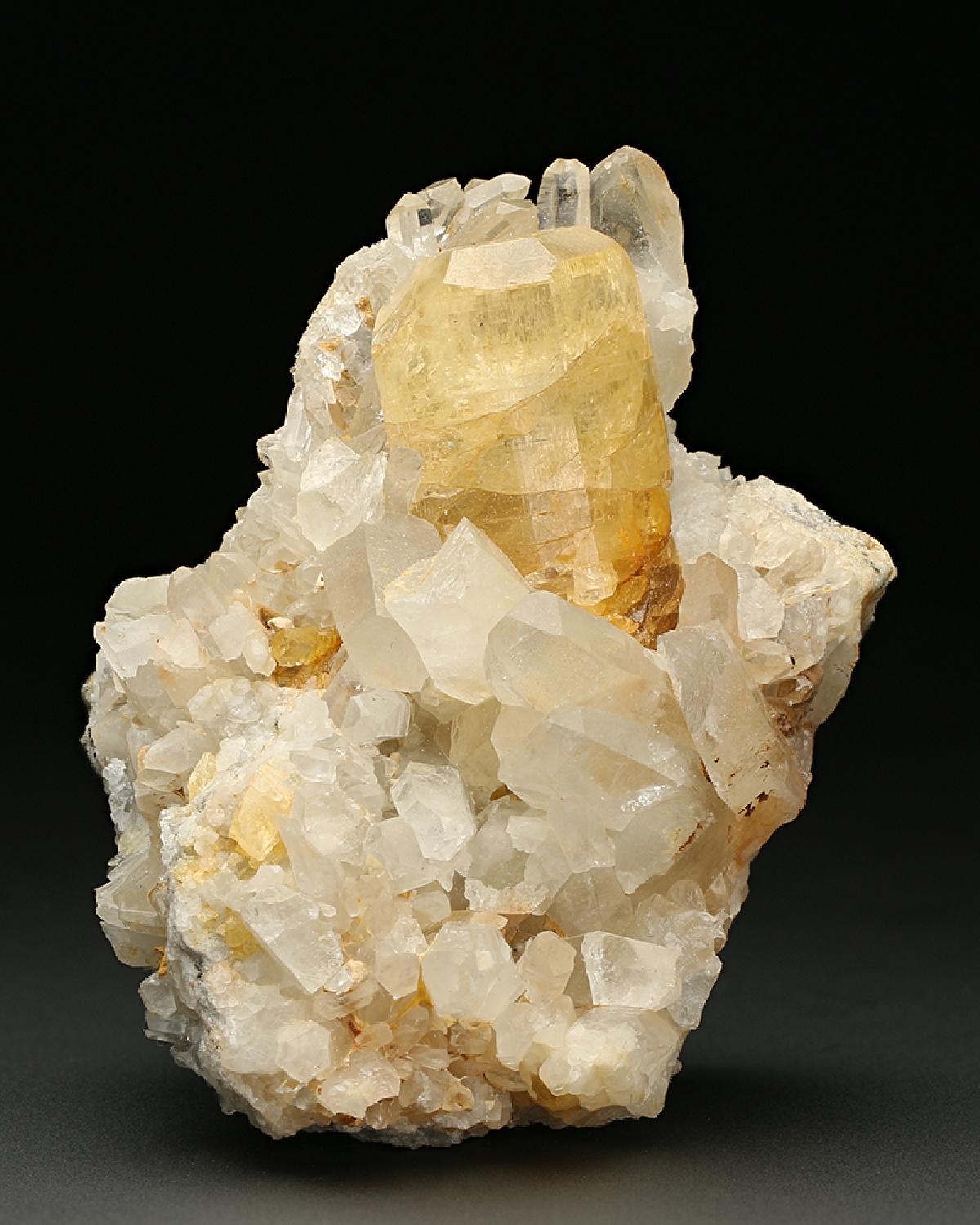 CC7635 specimen image