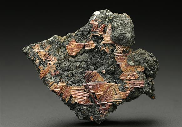 CC7643 specimen image