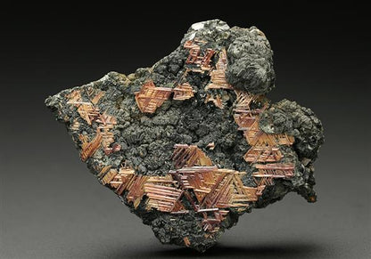 CC7643 specimen image