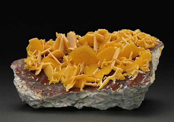 CC7647 specimen image