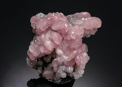 CC7648 specimen image
