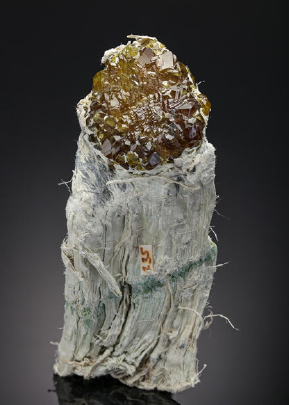 CC7652 specimen image