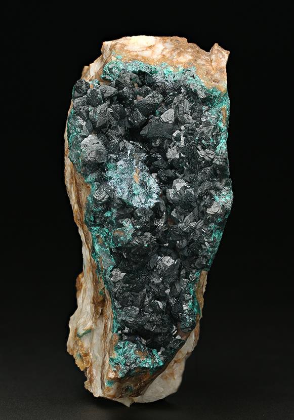 CC7667 specimen image