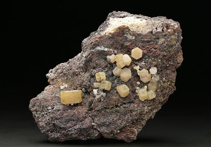CC7668 specimen image