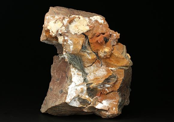 CC7672 specimen image