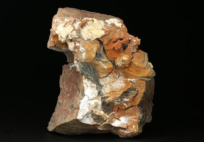 CC7672 specimen image