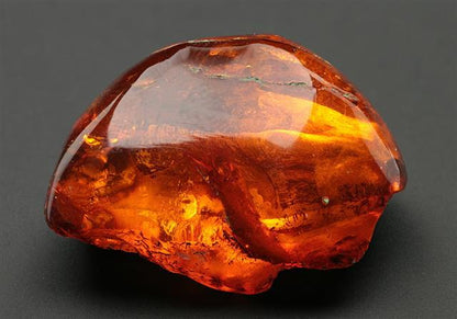 CC7677 specimen image