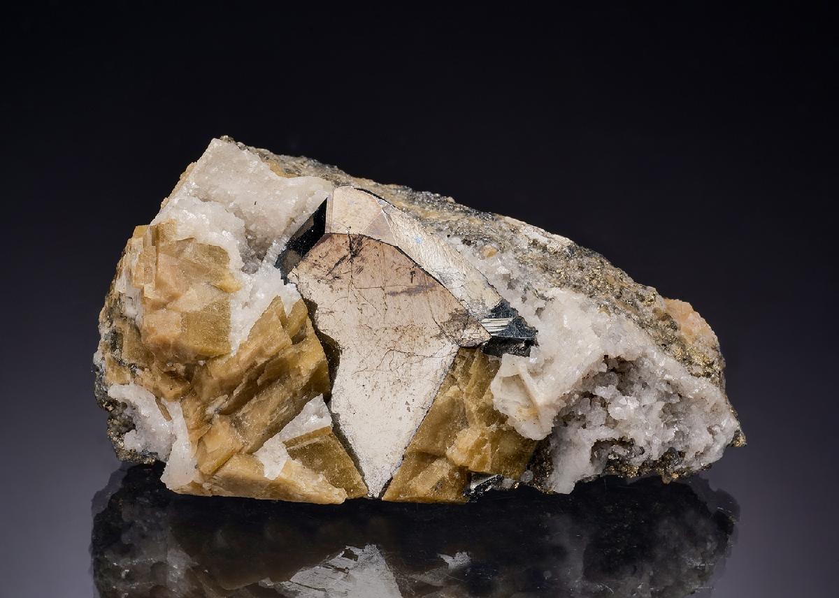 CC7694 specimen image