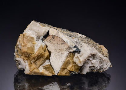 CC7694 specimen image