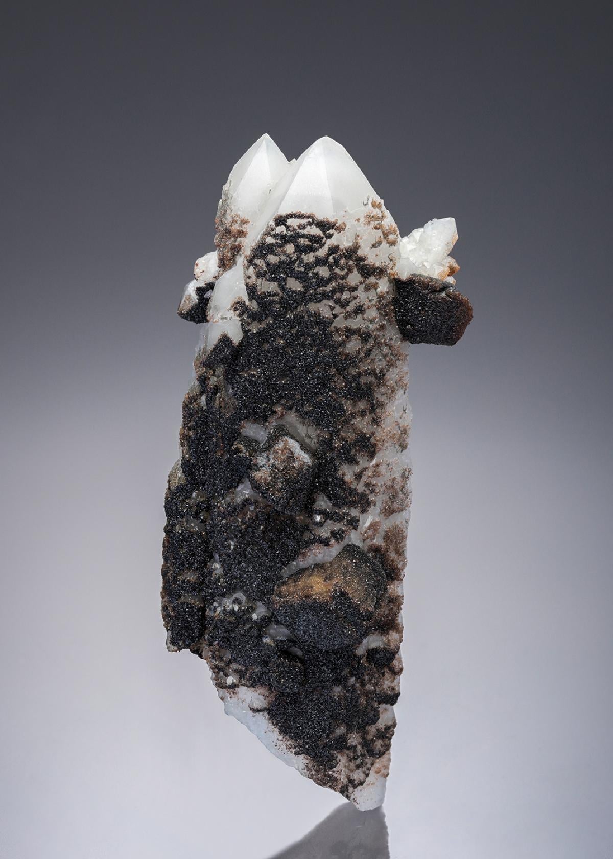 CC7700 specimen image