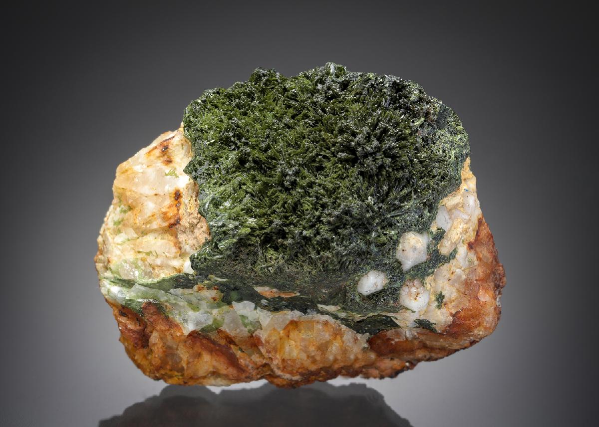 CC7702 specimen image