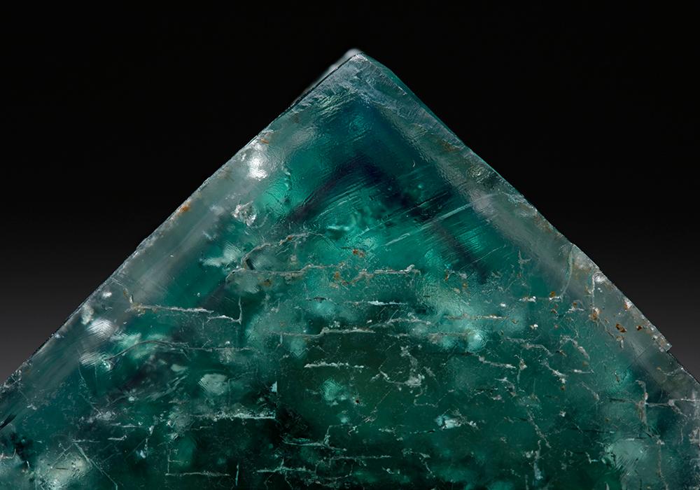 CC7706 specimen image