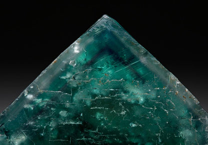 CC7706 specimen image