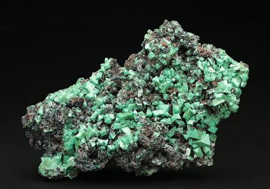 CC7714 specimen image