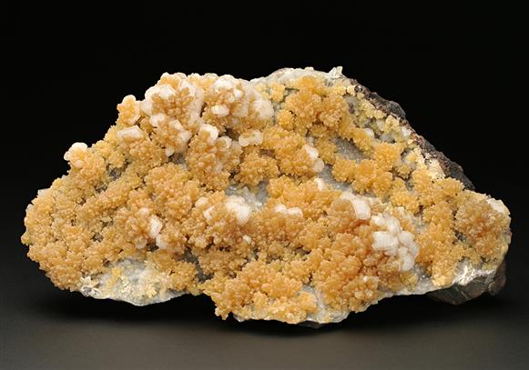 CC7716 specimen image