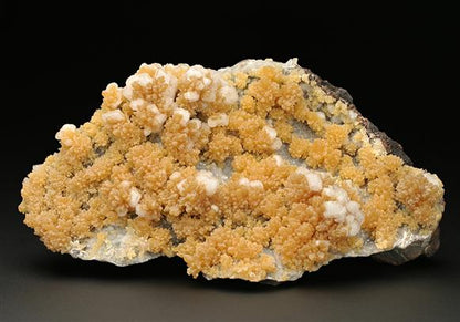 CC7716 specimen image
