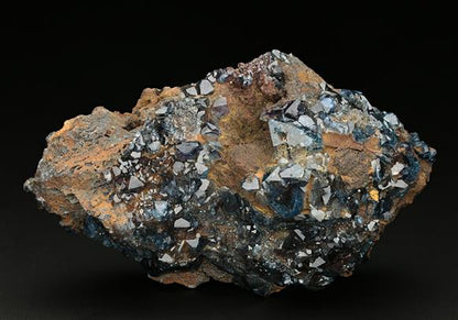 CC7717 specimen image