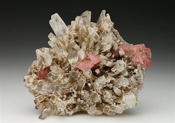 CC7750 specimen image
