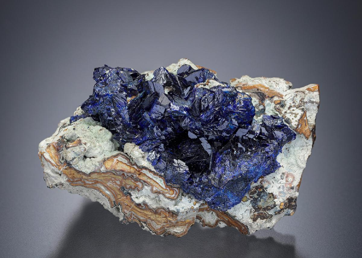 CC7753 specimen image