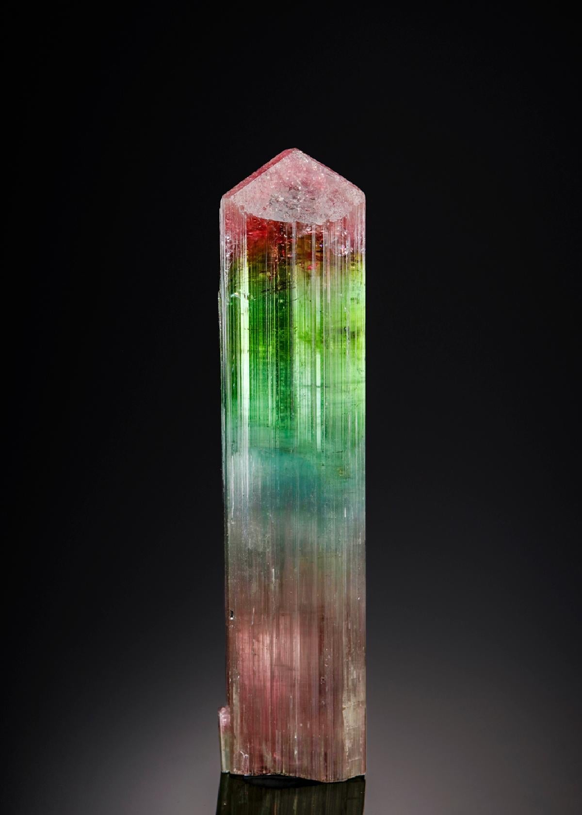 CC7755 specimen image