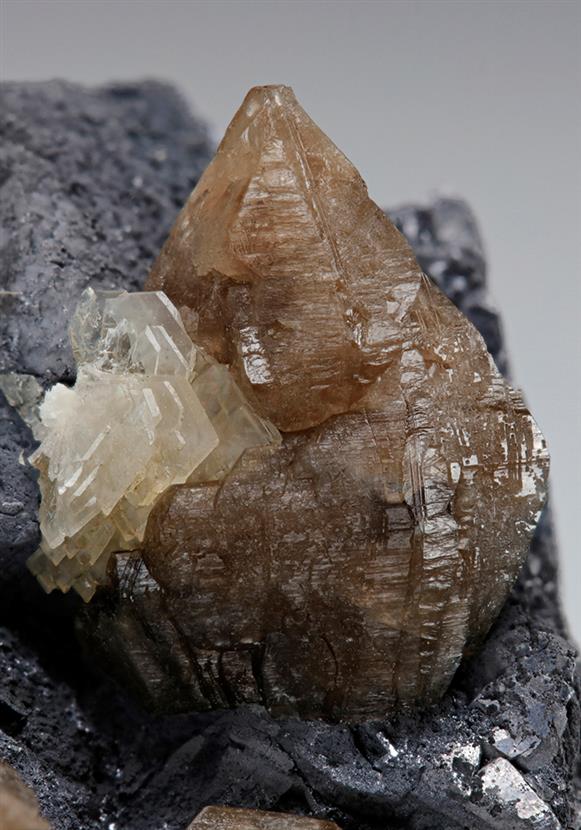 CC7768 specimen image