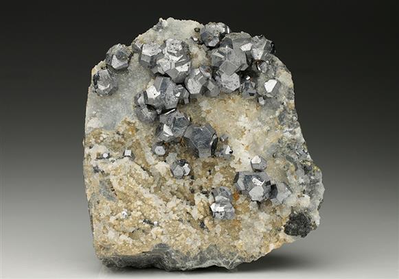 CC7778 specimen image