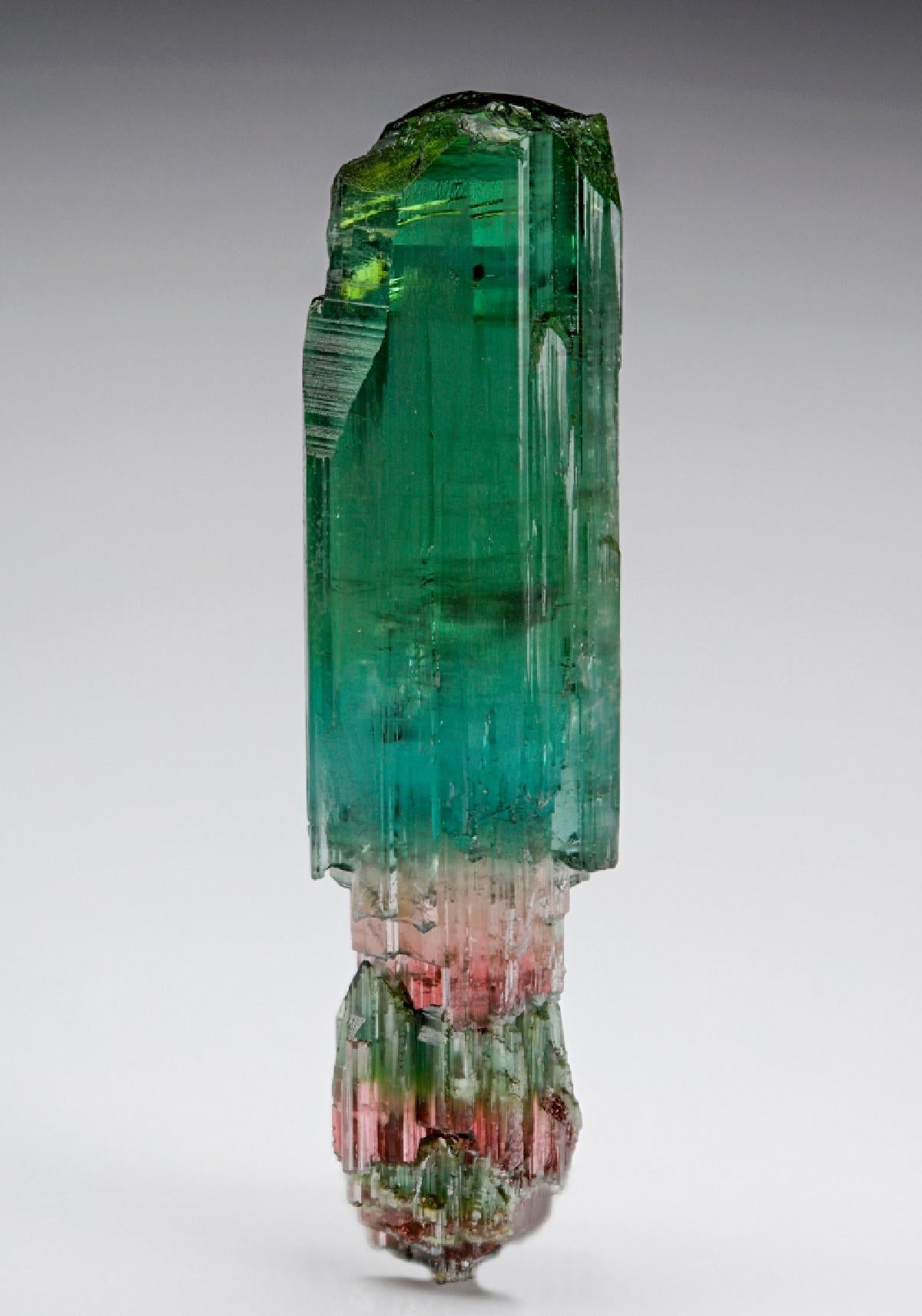 CC7782 specimen image