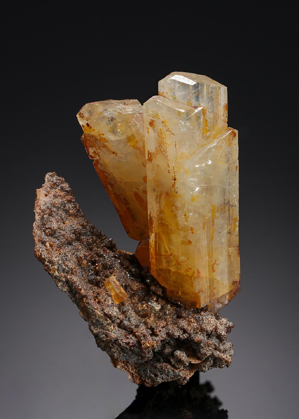 CC7783 specimen image