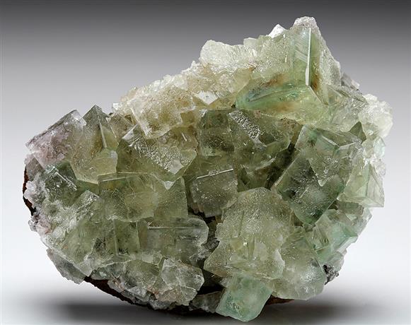 CC7799 specimen image
