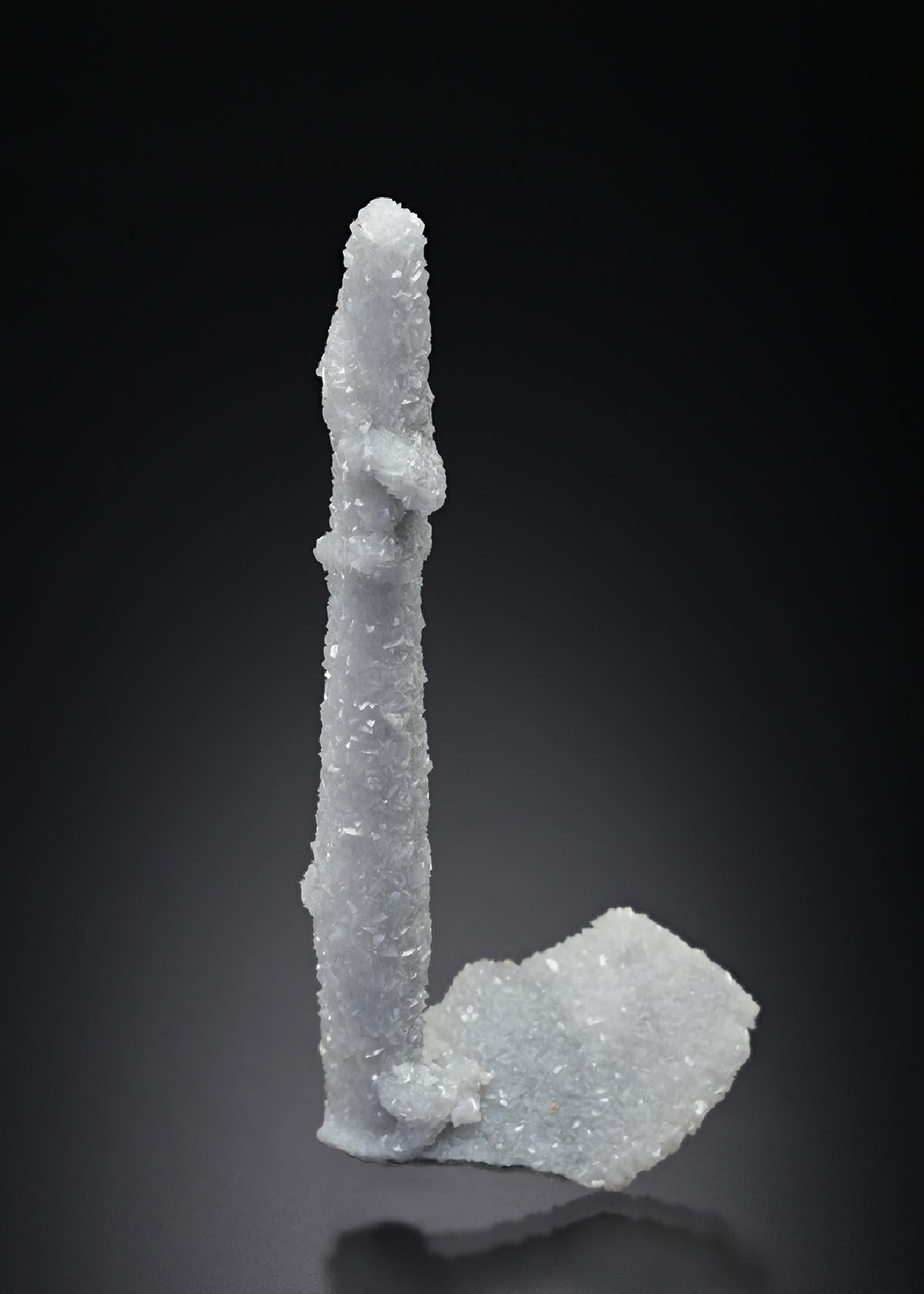 CC7801 specimen image