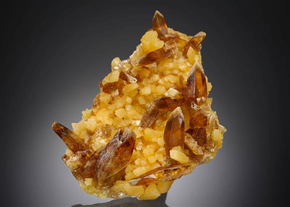 CC7829 specimen image