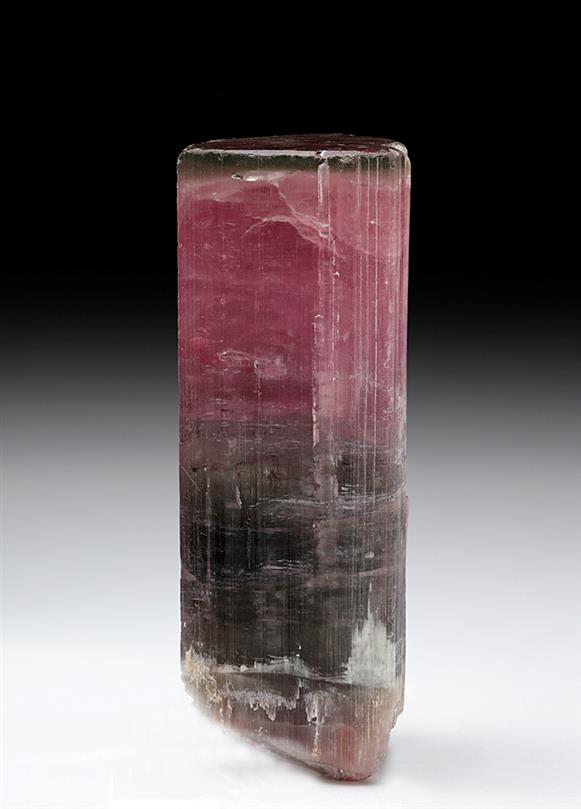 CC7839 specimen image