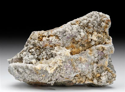 CC7844 specimen image