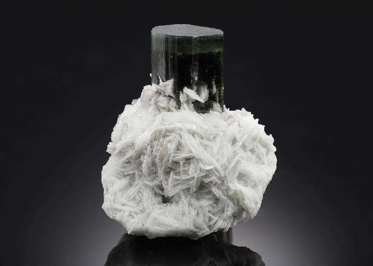 CC7863 specimen image