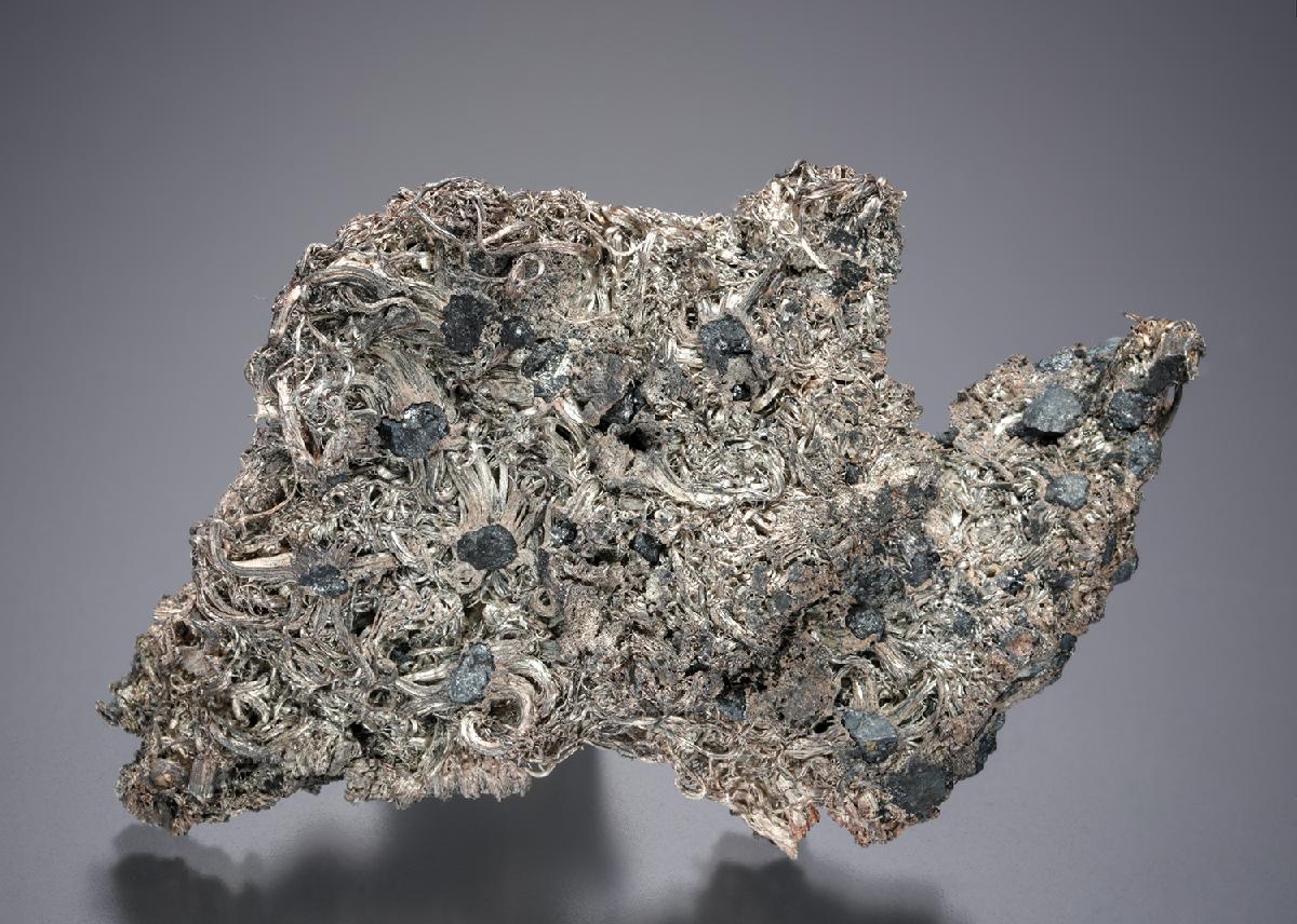 CC7868 specimen image