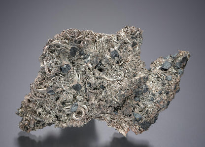 CC7868 specimen image