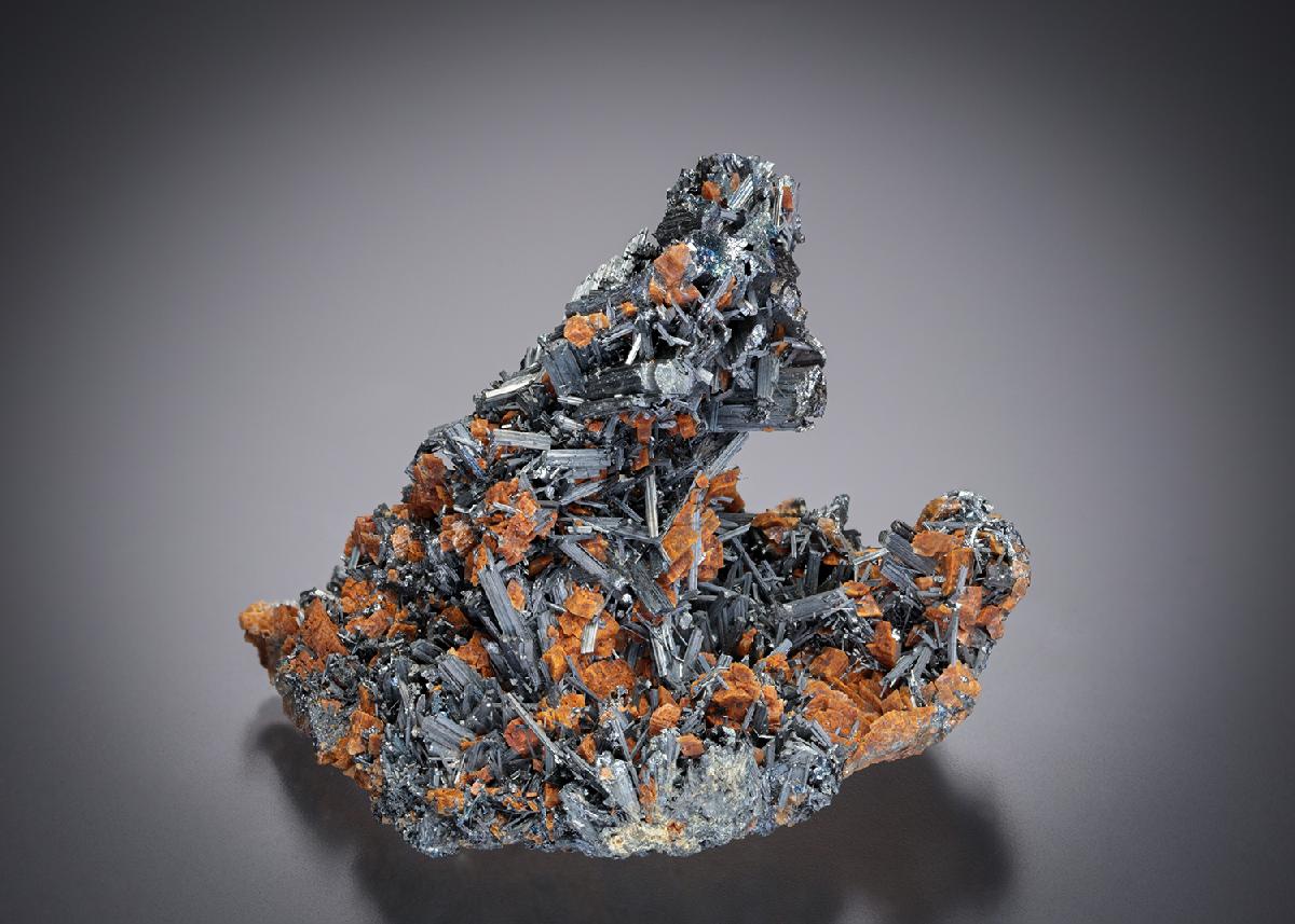 CC7882 specimen image
