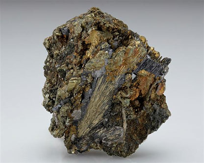 CC7885 specimen image