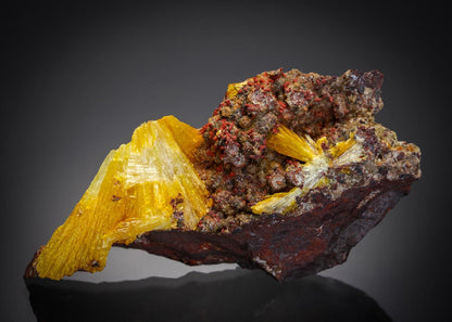 CC7891 specimen image