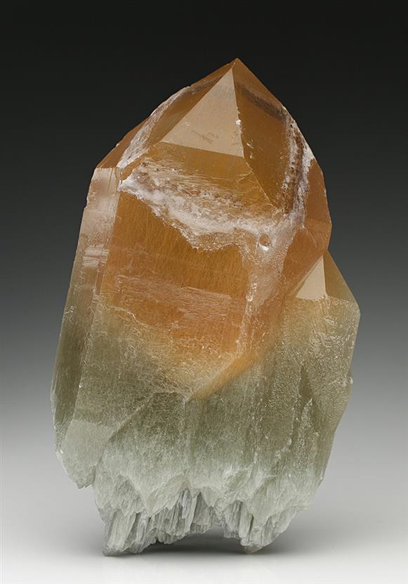 CC7892 specimen image