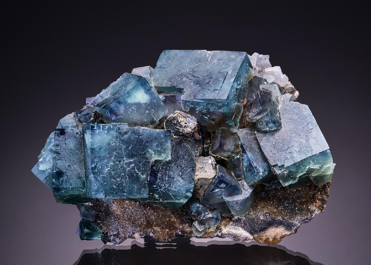 CC7906 specimen image