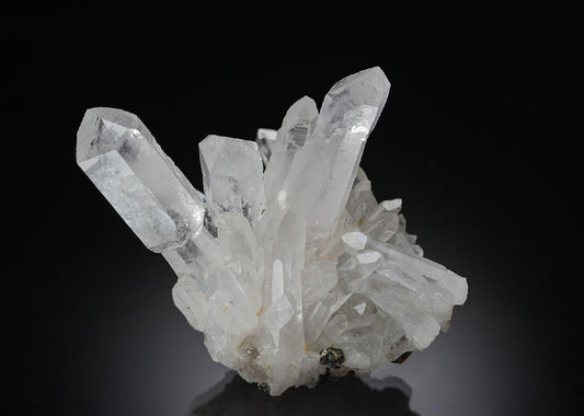 CC7914 specimen image