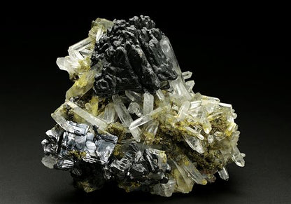 CC7916 specimen image
